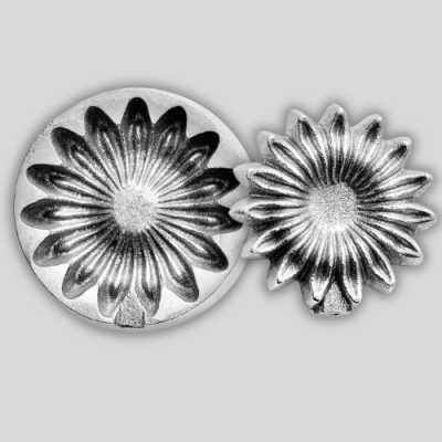 Gerbera